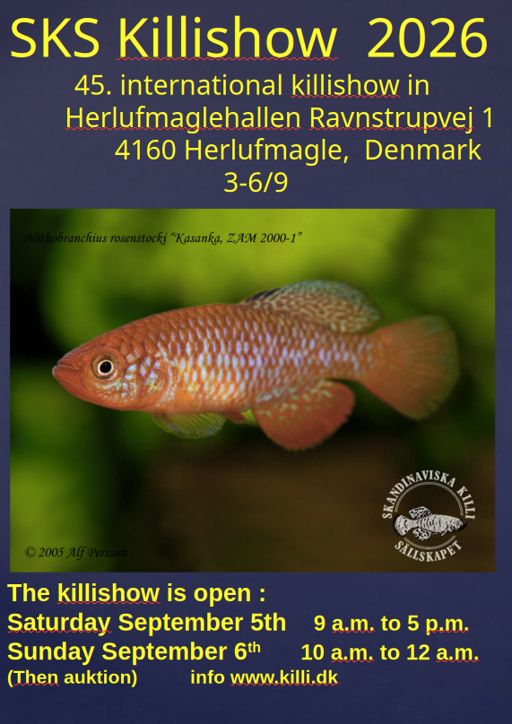 SKS 2024 Poster A4 W DK